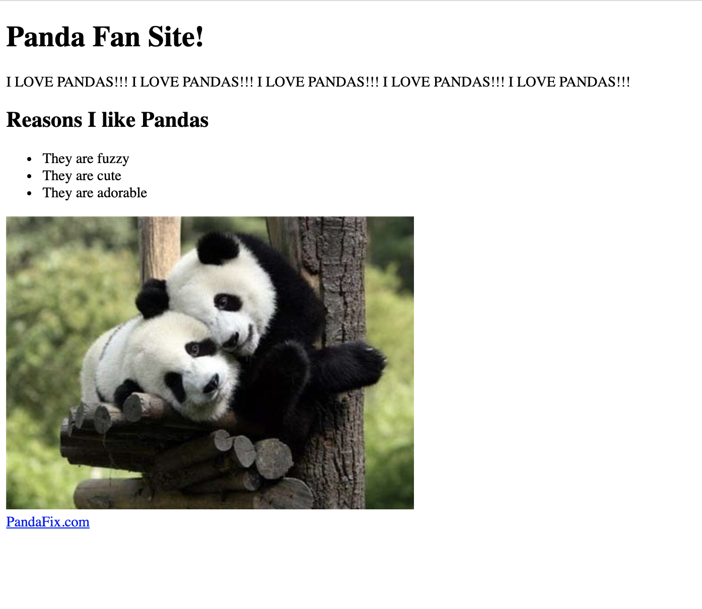 Image of Panda Web Site showing added text, image and a list.
